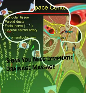 Drain your lymph nodes face