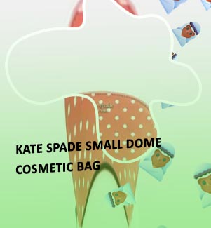Kate spade cosmetic case