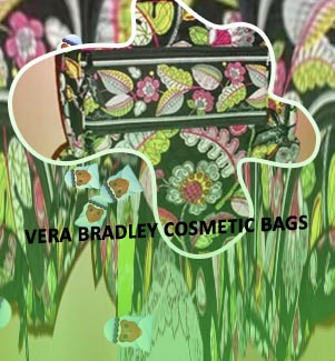 Vera bradley makeup case